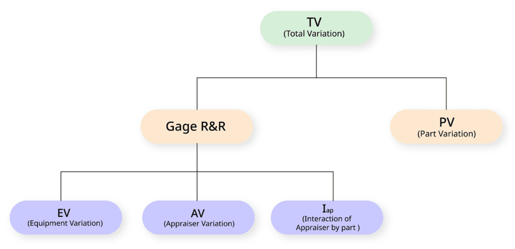 Gage R&R TV EV PV AV แผนผัง