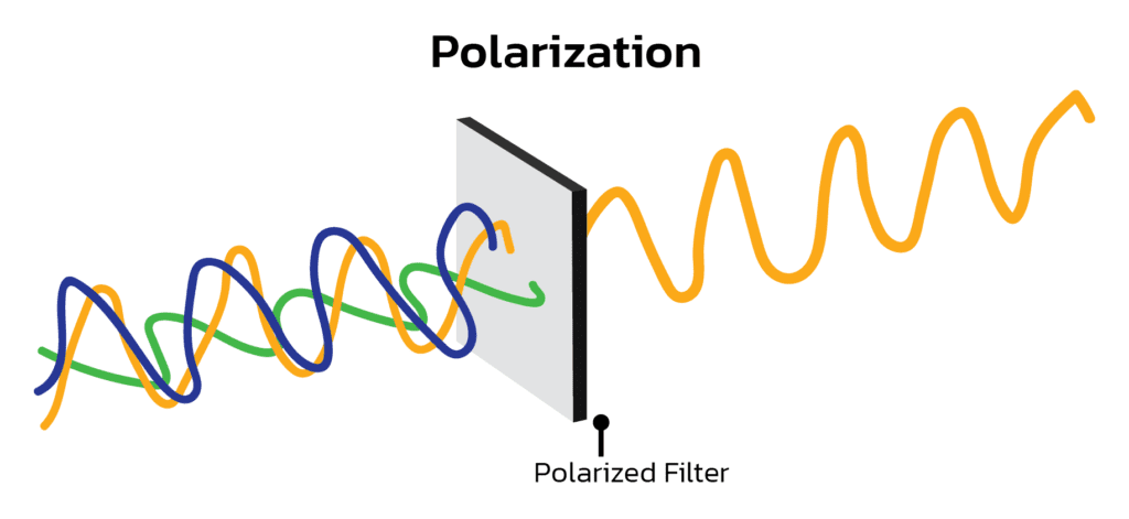 Polarized microscope ปรากฎการณ์ Polarization ของแสงและภาพ