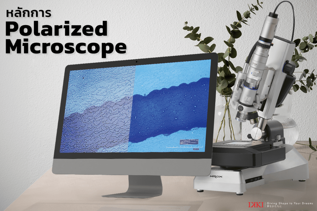 Polarized microscope คืออะไร