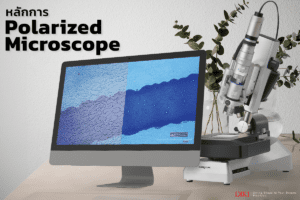 Polarized microscope คือ