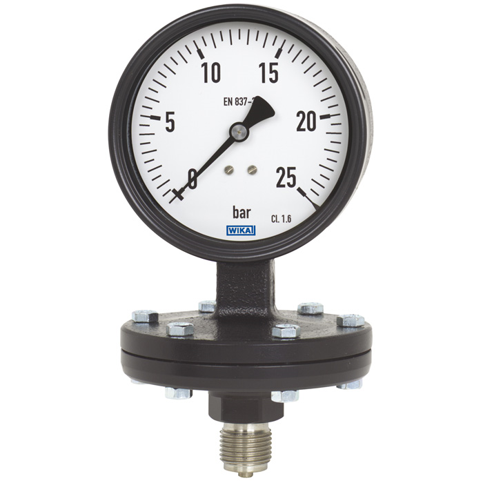 Pressure gauge ไดอะแฟรมเกจ เกจวัดแรงดันซีลไดอะแฟรม