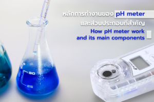 หลักการทำงานของ pH Meter และส่วนประกอบที่สำคัญของ pH meter